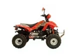 Asya 150cc Atv Discovery-Off Road - Image 4
