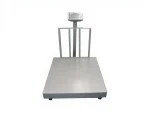 Platform Scale - Image 3