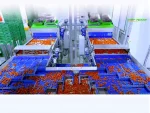 Tomato Sorting and Packaging Line - Image 7