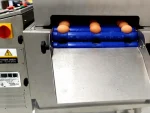 Egg Washing (Tunnel) Machine - Image 5