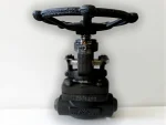 DN15 – DN50 High Pressure Manual Globe Valve