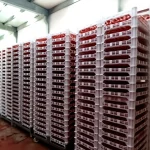 Room Type Food Drying Machine