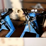 Stoktan 250 Kg Rulo Açıcı/ Roll From 250 Weight Stock