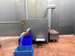 160 Double Helix Elevator Meat Grinder with Tissue Separator