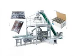 Screw Packaging Machine