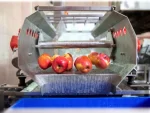Vegetable Washing Machine with Vibration Conveyor - Image 8