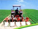 Cultivator with Frezeli 8 Row Spacing