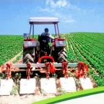 Cultivator with Frezeli 8 Row Spacing