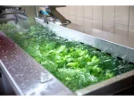 Vegetable Washing Machine with Vibration Conveyor - Image 12
