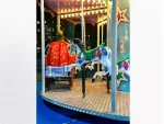 12-Person Carousel - Image 6