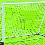 Art 124C Pvc 1.5x1.1 Metre Mini Castle Pole