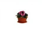 1.5 Litre Purple Violet Pot - Image 2