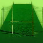 Unit Marked Disabled Slalom Pole