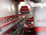 Conveyor Belt Fruit Vegetable Sorting Line