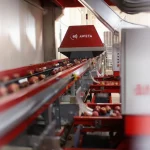 Conveyor Belt Fruit Vegetable Sorting Line