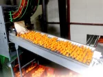 Apricot Peach Packaging and Sorting Machine