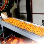 Apricot Peach Packaging and Sorting Machine