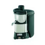 800W Commercial Juice Extractor