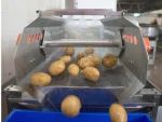 Vegetable Washing Machine with Vibration Conveyor - Image 14