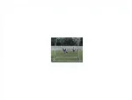 130x130 Cm Goalkeeper and Player Training Frame - Image 2