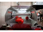 Vegetable Washing Machine with Vibration Conveyor - Image 5