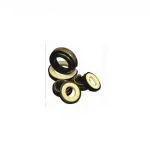 Kem 301 Fe Series Middle East Pump Seals