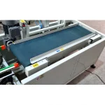 Akümülasyon Özel Amaçlı Konveyör Sistemi