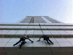 Building Exterior Cleaning - Image 8