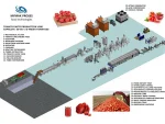 60 Ton/Day Tomato Paste Production Line - Image 2