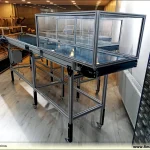 Injection Robot Under Transfer Conveyor System