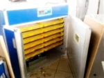 Chick Hatchery Machine Efe-1101 - Image 3