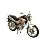 Asya 150cc Motorcycle As150-12