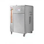 Electric Steam Generator