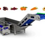 100-500 Kg Fruit Vegetable Washing Machine