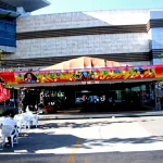 Fg 1003 Colliding Car Track