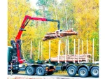 5 Ton (9.5 Mt.) Log Loading Mobile Crane