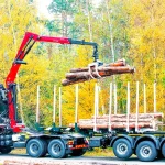 5 Ton (9.5 Mt.) Log Loading Mobile Crane