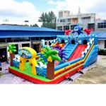 Giant Inflatable Playground