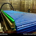 FM3011 Stainless Modular Conveyor System