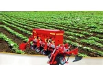 5-Row Spring Cultivator