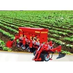 5-Row Spring Cultivator