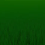 Eco Friendly Line Shoe Sole Lining