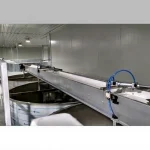 Seintro SK Dried Nuts Conveyor Belt