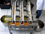 RX4 Egg Breaking Separating Machine - Image 7