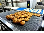 1560 Pieces/Hour Stone Based Tube Oven and Robot Automation System - Image 8