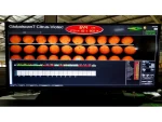 Citrus Packaging and Grading Machine - Image 9