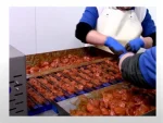Automatic Skewer and Kebab Stabbing Machine - Image 4
