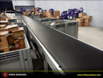 Conveyor Belt Systems Suitable for Cargo Sector
