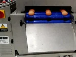 9600 Units/Hour Conveyor Egg Washing Machine - Image 6