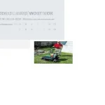 LS 22 (5.5 Hp 51 Cm) (Overseeder) Lawn Overseeding Machine